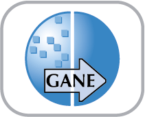 GANE – 粒子（グレイン）とノイズの除去 Icon